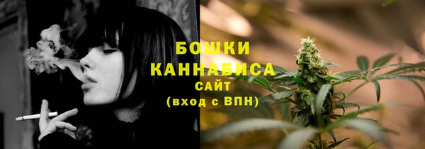 гидропоника Белокуриха