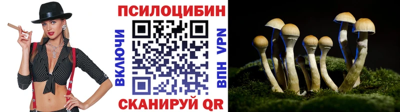 Галлюциногенные грибы мицелий  Надым 