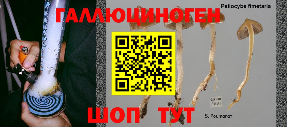 Псилоцибиновые грибы Psilocybe  Вход с VPN  Надым 