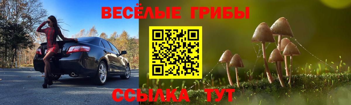 Псилоцибиновые грибы мицелий Надым